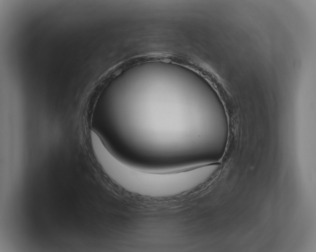 X0000102001448200808011112