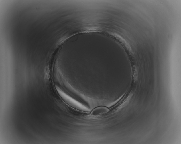 X0000102001449200808011112