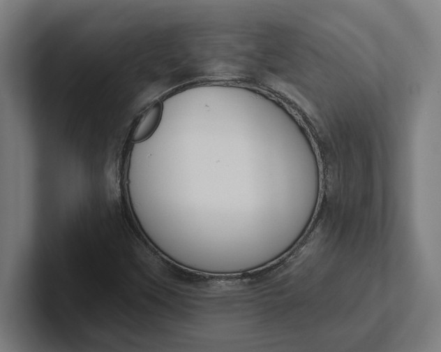 X0000102001451200808011112