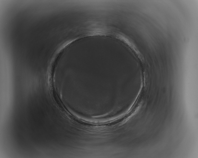 X0000102001453200808011112