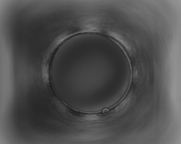 X0000102001455200808011112