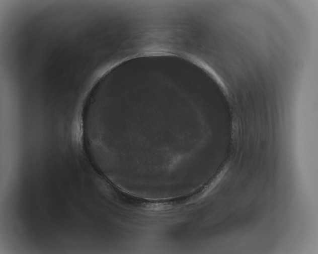 X0000102001461200808011112