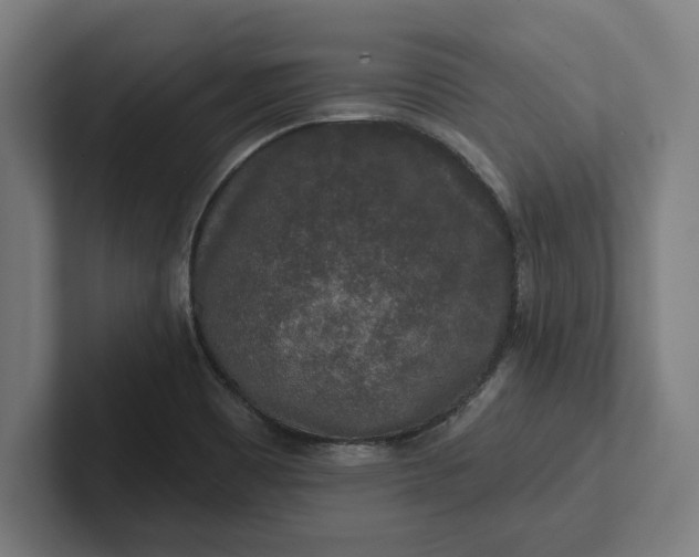 X0000102001465200808011112