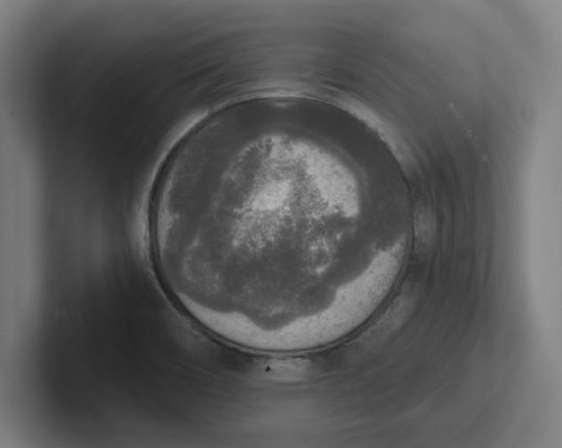 X0000102001466200808011111