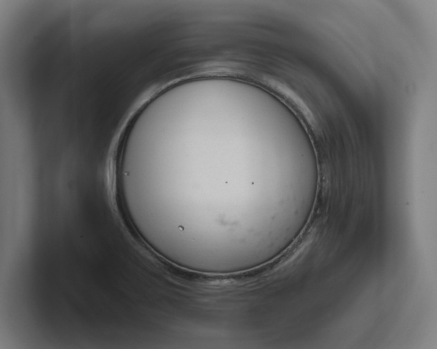 X0000102001467200808011111