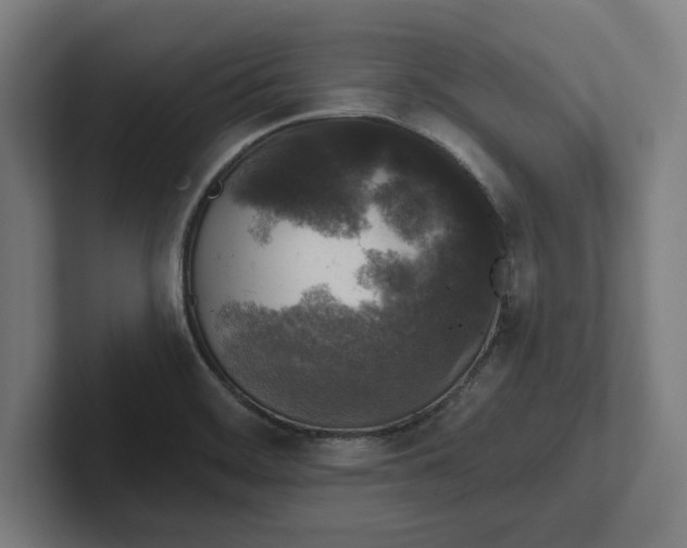 X0000102001468200808011111