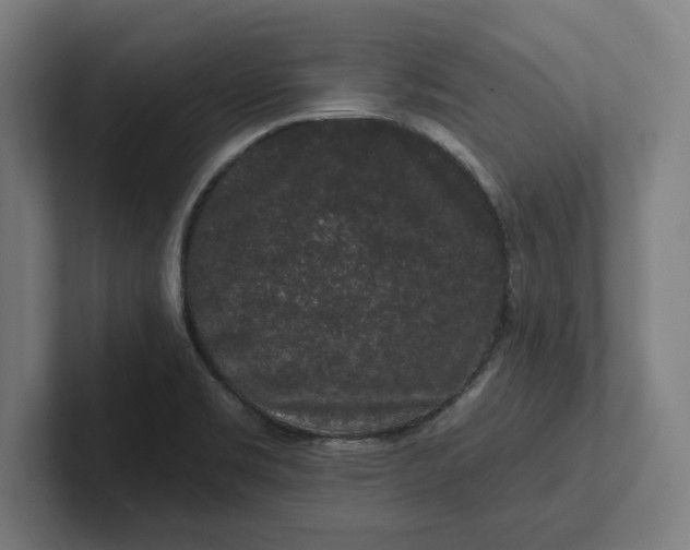 X0000102001469200808011111