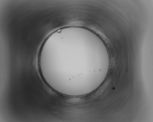 X0000102001470200808011111