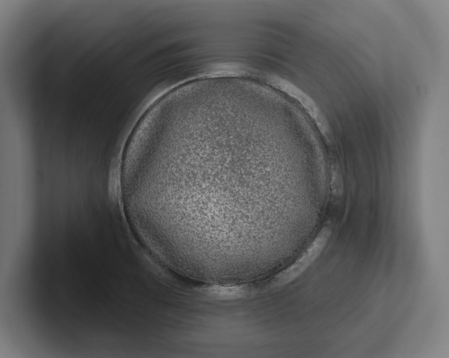 X0000102001473200808011111