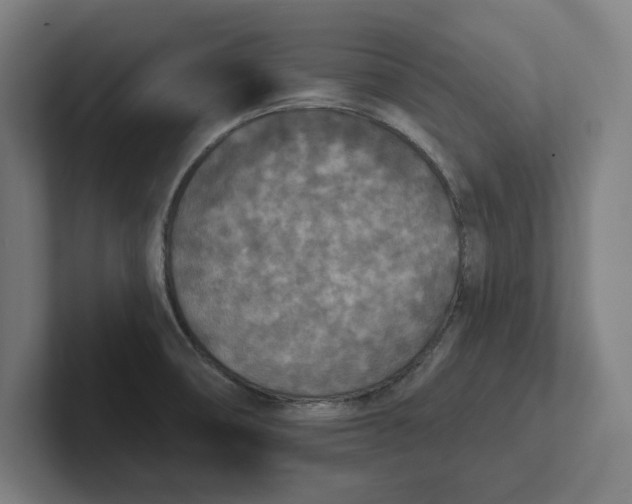 X0000102001474200808011111