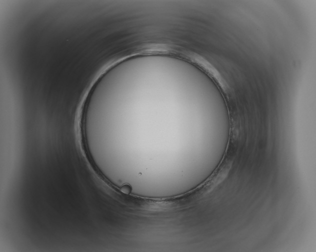 X0000102001475200808011111