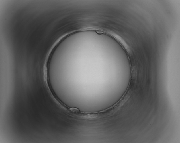 X0000102001476200808011111