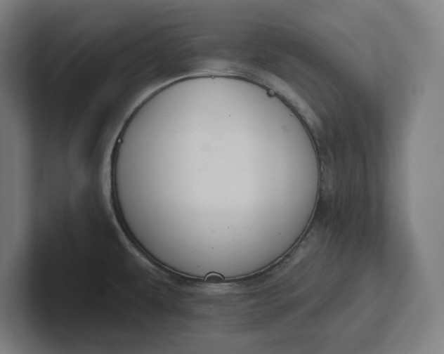 X0000102001479200808011111