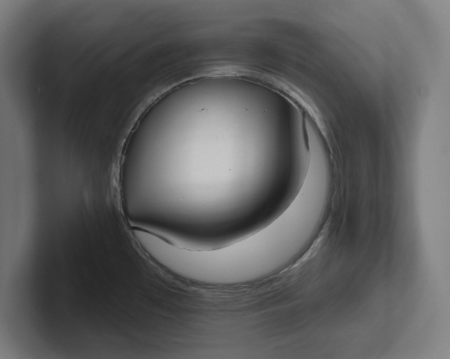 X0000102001481200808011111