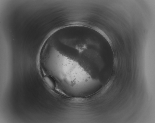 X0000102001482200808011111