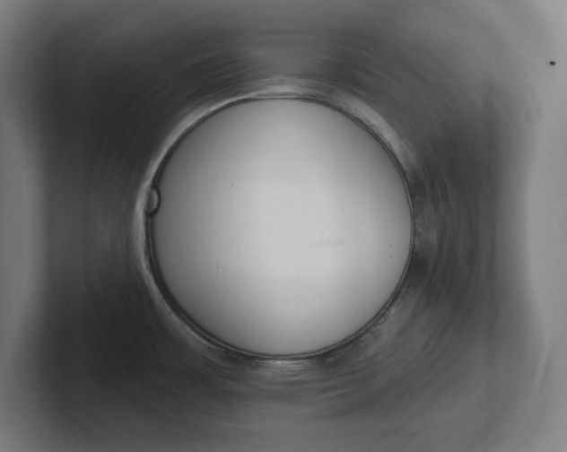 X0000102001483200808011111