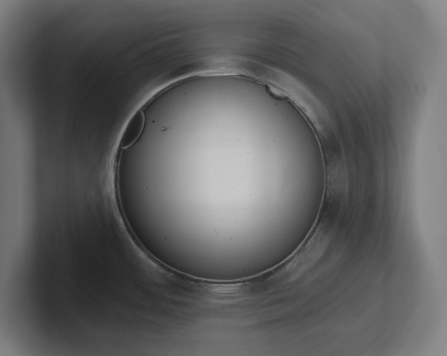 X0000102001484200808011111