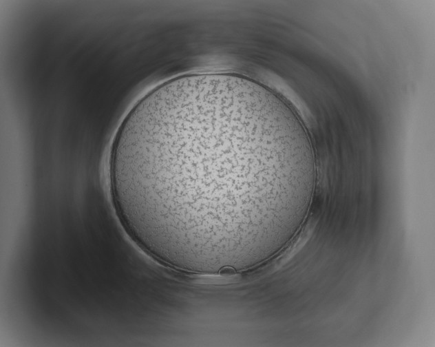 X0000102001487200808011111