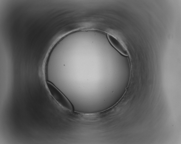 X0000102001488200808011111