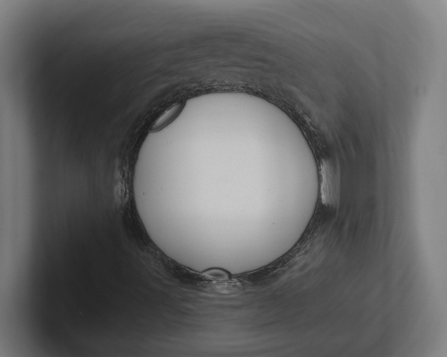 X0000102001491200808011111