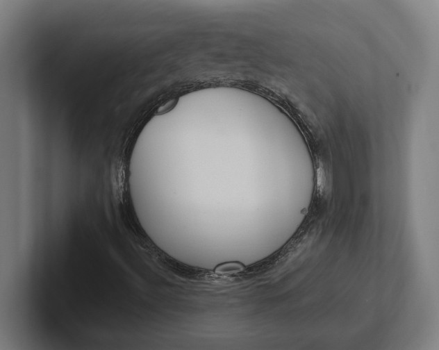 X0000102001492200808011111