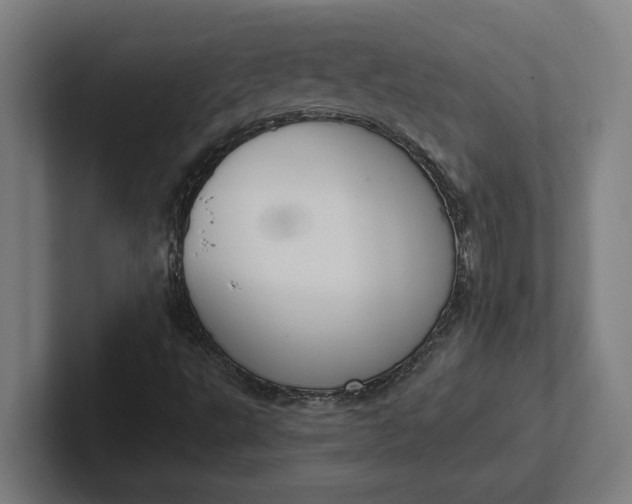 X0000102001495200808011111