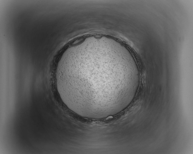 X0000102001496200808011111