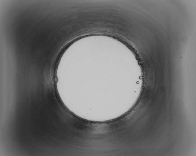 X0000102001498200808011111