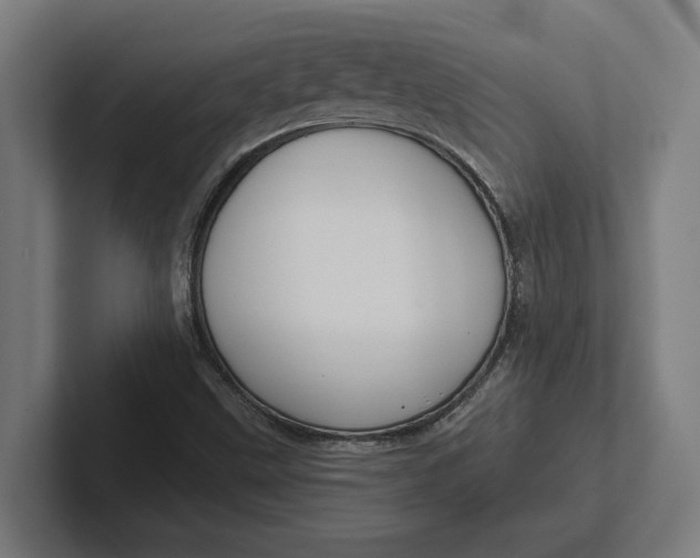 X0000102001499200808011111