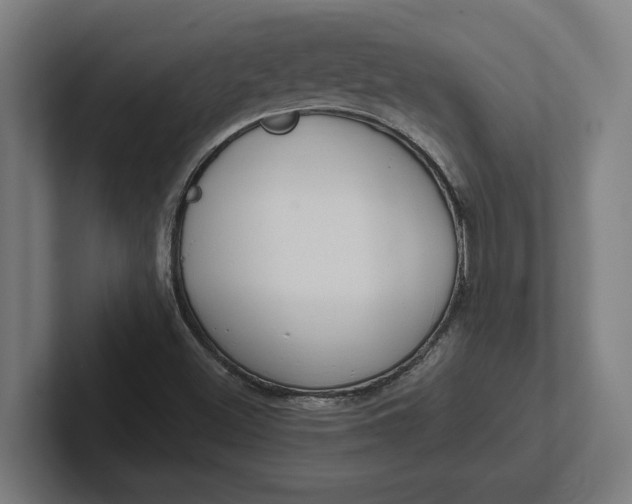 X0000102001500200808011111