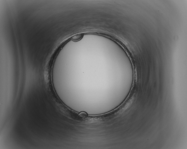 X0000102001501200808011111