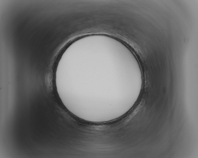 X0000102001502200808011111