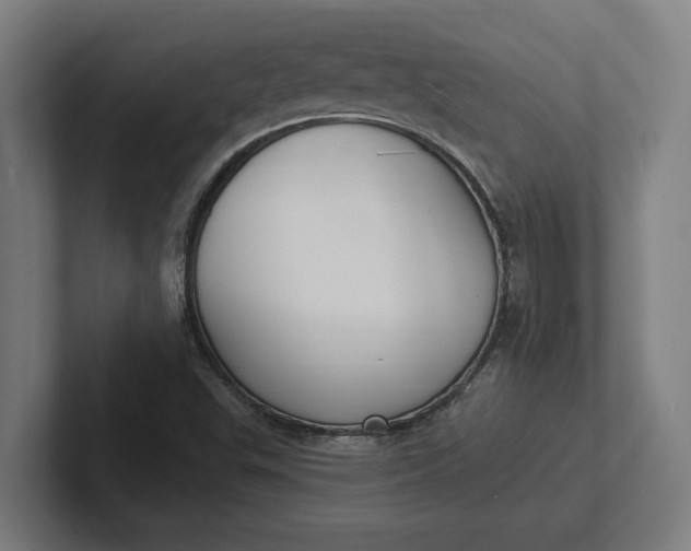 X0000102001503200808011111