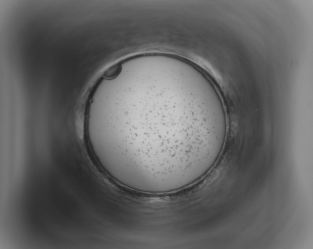 X0000102001504200808011111