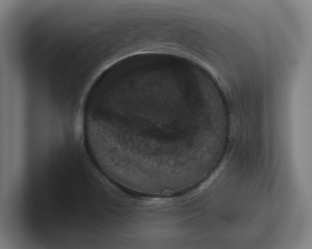 X0000102001506200808011111