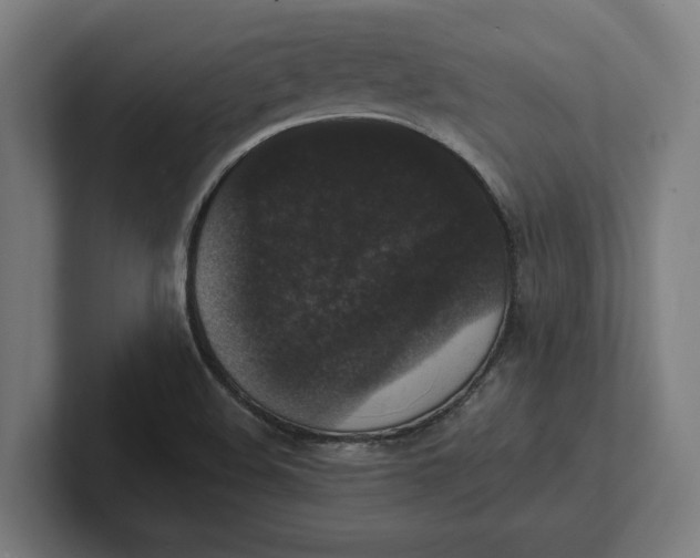 X0000102001508200808011111