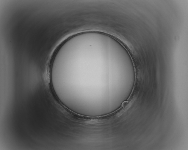 X0000102001510200808011111