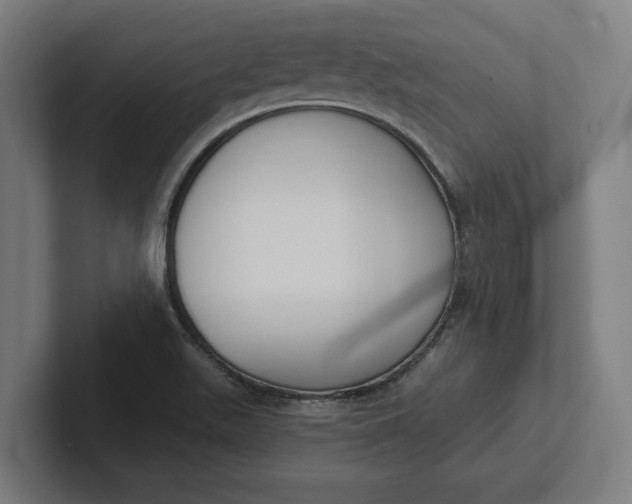 X0000102001511200808011111