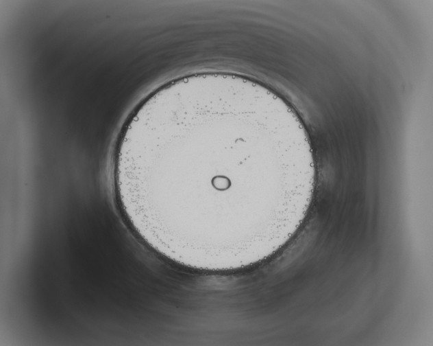 X0000102001514200808011111