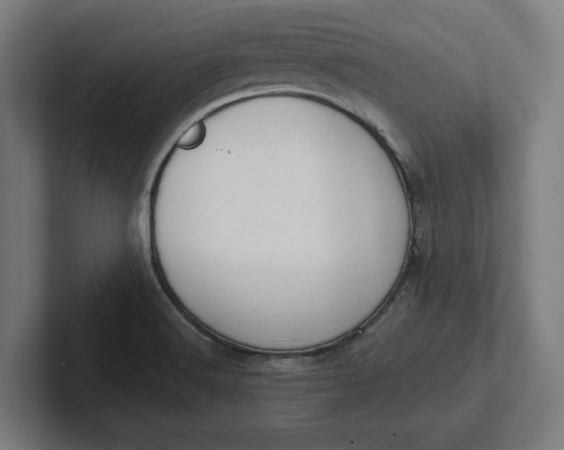 X0000102001516200808011111