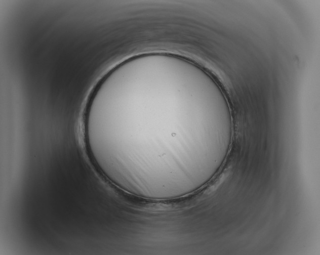 X0000102001517200808011111