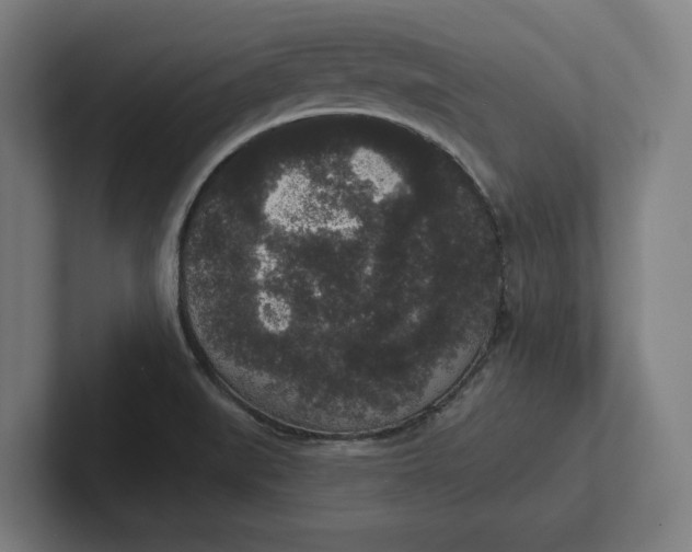 X0000102001519200808011111