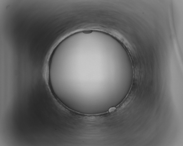 X0000102001520200808011111