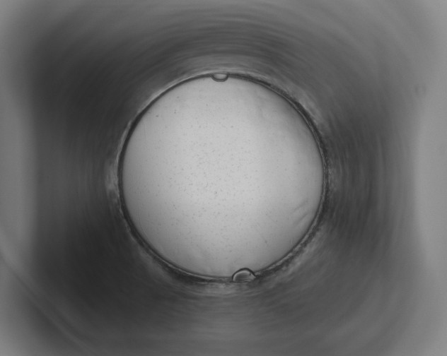 X0000102001521200808011111