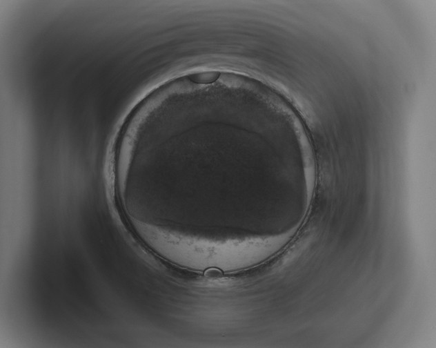 X0000102001522200808011111