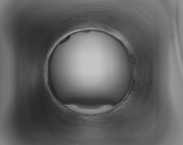 X0000102001524200808011111