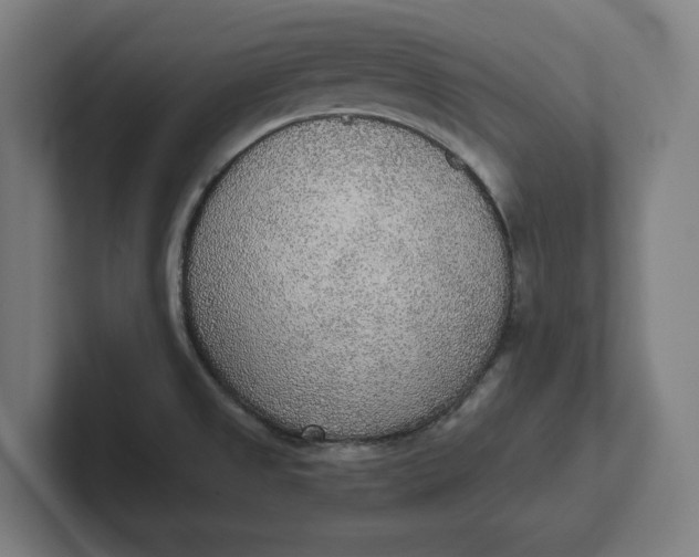 X0000102001525200808011111