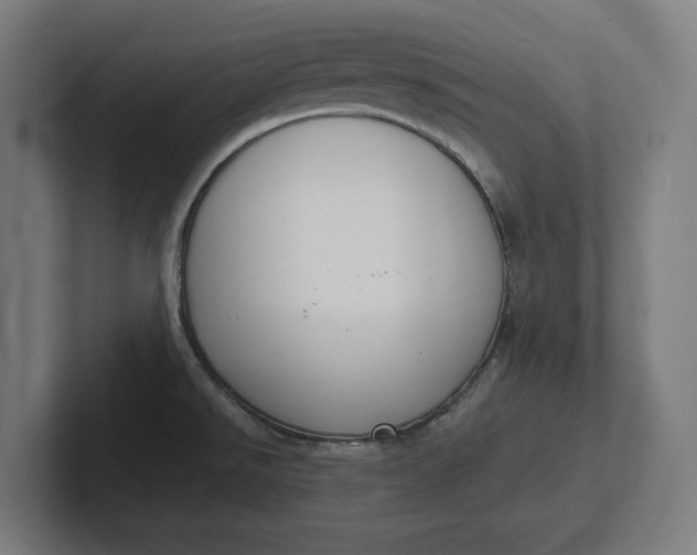 X0000102001526200808011111