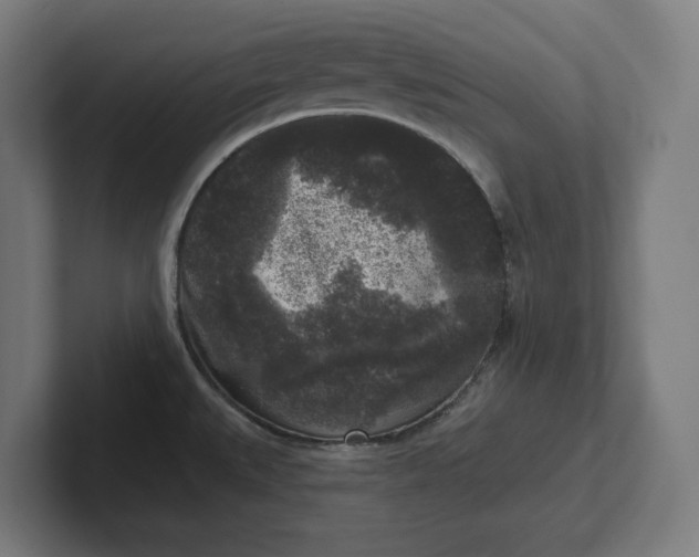 X0000102001527200808011111