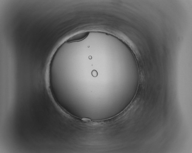 X0000102001528200808011111